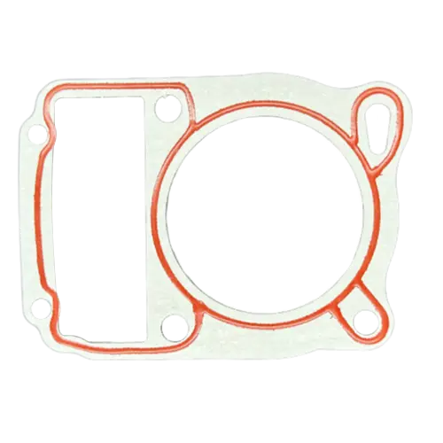 CYLINDER GASKET DOWN