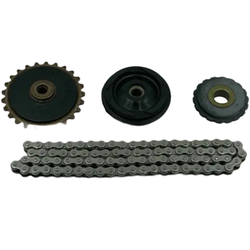 TIMING CHAIN W GEAR